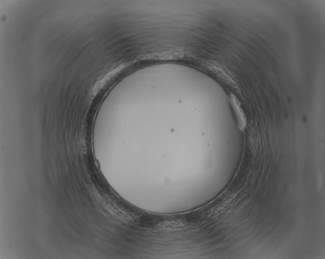 X0000067950536200605041828