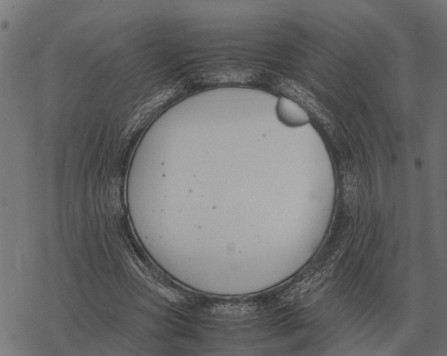 X0000067950537200605041828