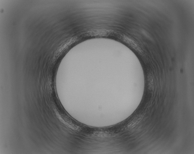 X0000067950538200605041828