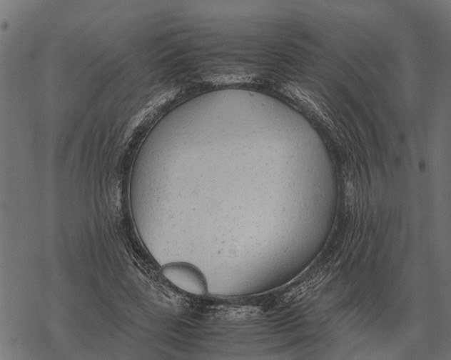 X0000067950539200605041828