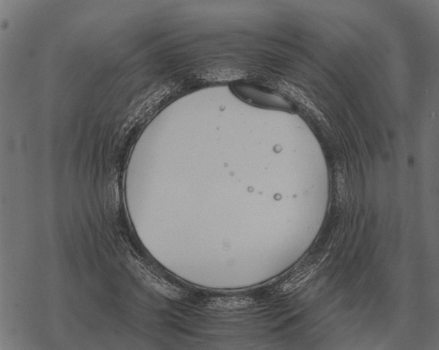 X0000067950541200605041828