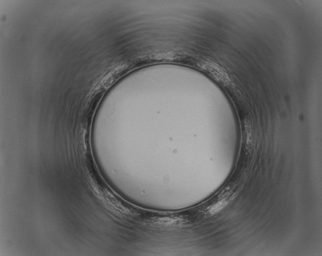 X0000067950542200605041828