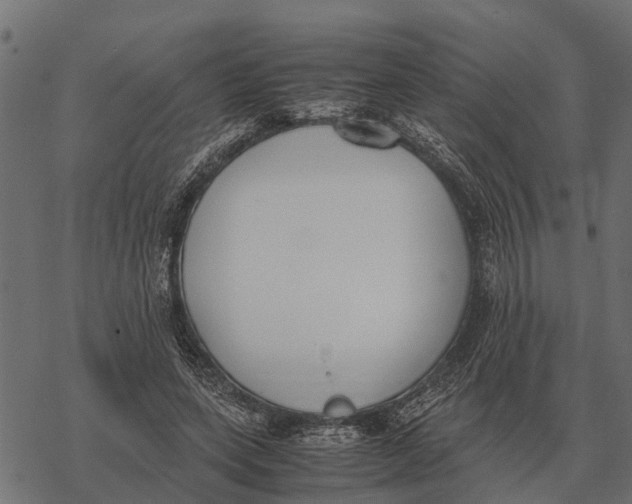 X0000067950543200605041828