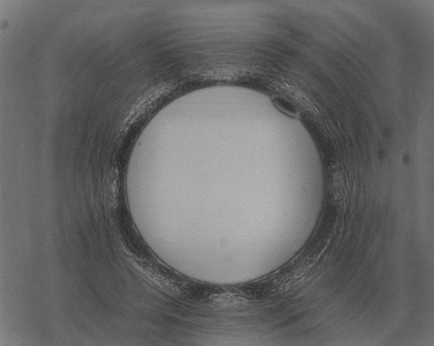 X0000067950544200605041828