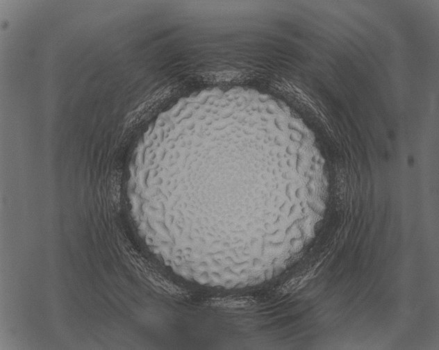 X0000067950545200605041828