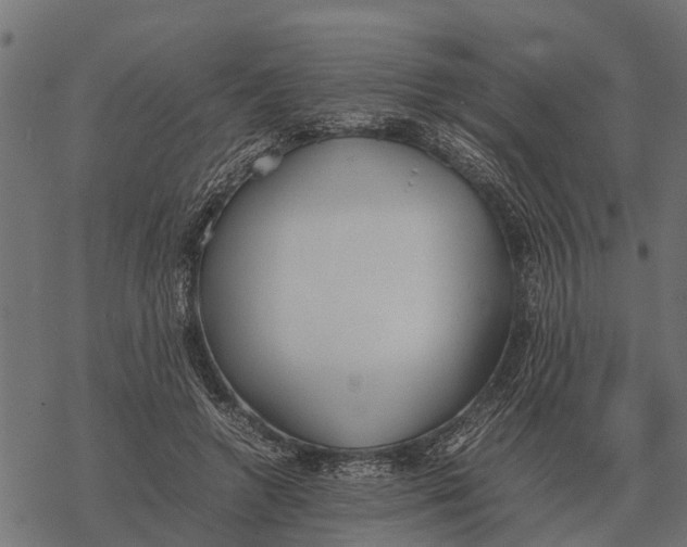 X0000067950546200605041828