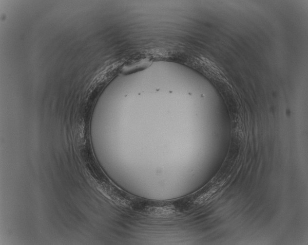 X0000067950548200605041828