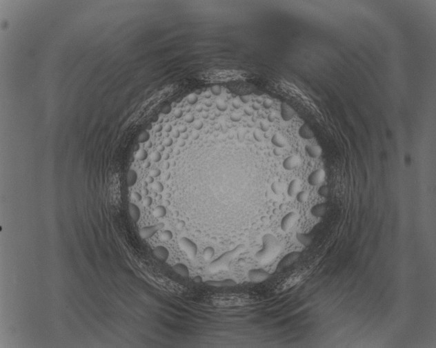 X0000067950549200605041828