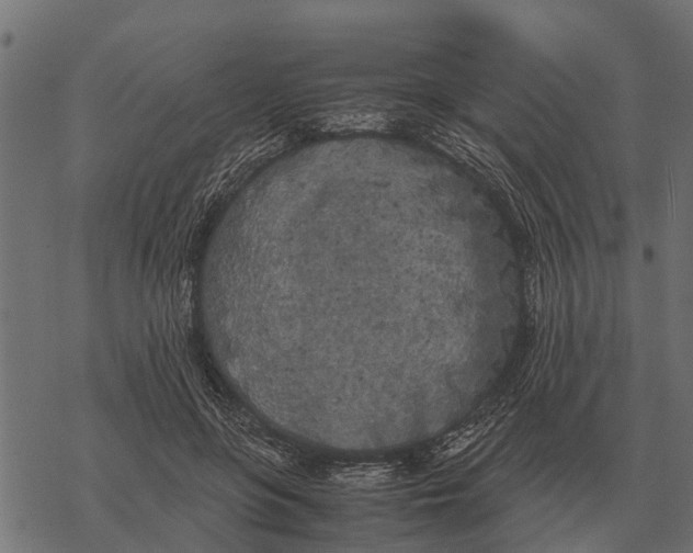 X0000067950551200605041828