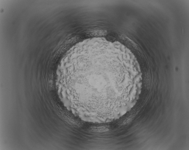 X0000067950553200605041828