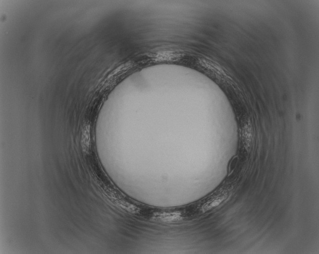 X0000067950554200605041828