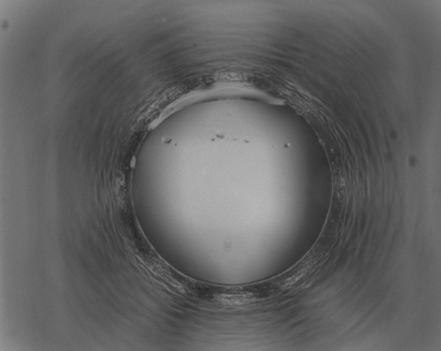 X0000067950556200605041828