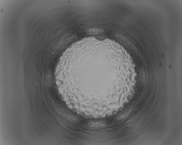 X0000067950557200605041828