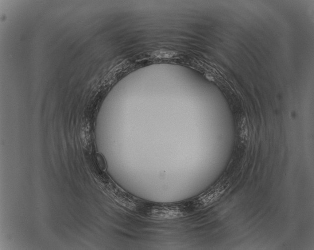 X0000067950559200605041828