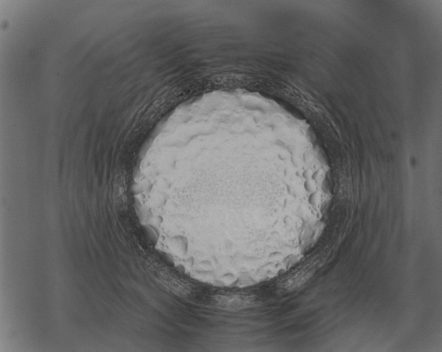 X0000067950561200605041829