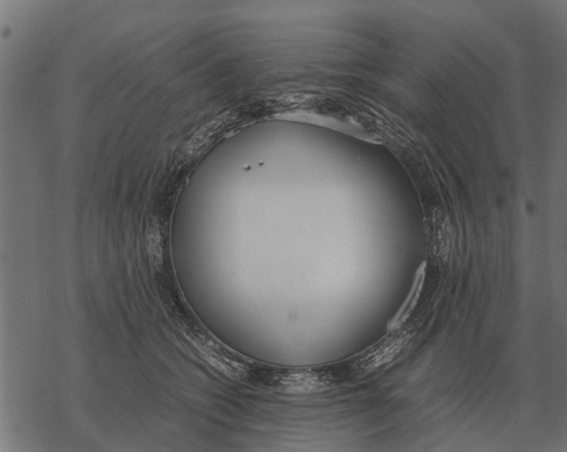 X0000067950562200605041829