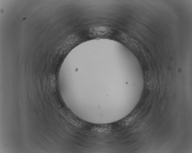 X0000067950563200605041829