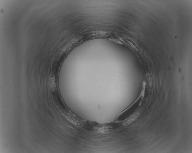 X0000067950564200605041829