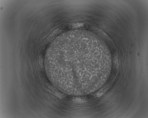 X0000067950565200605041829