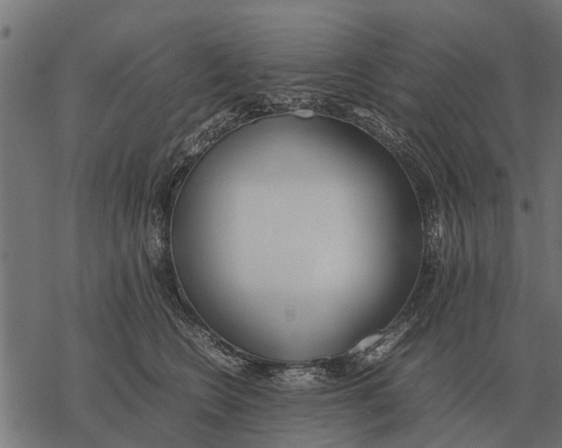 X0000067950566200605041829