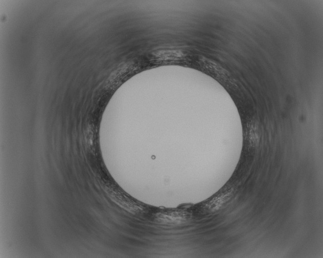 X0000067950567200605041829