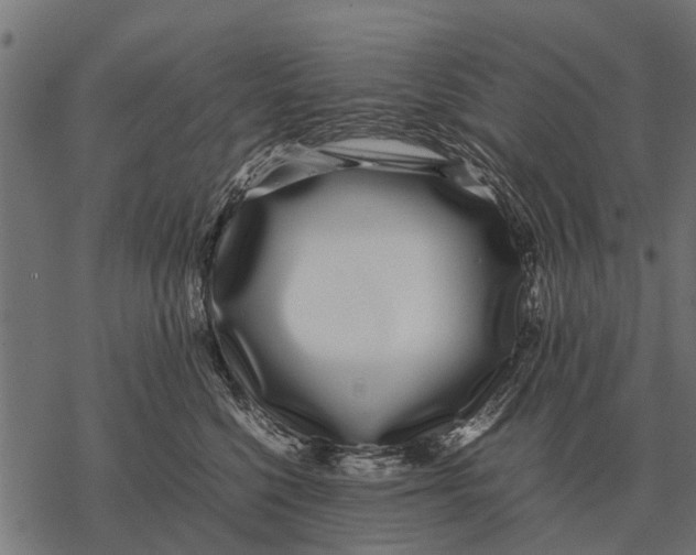 X0000067950568200605041829