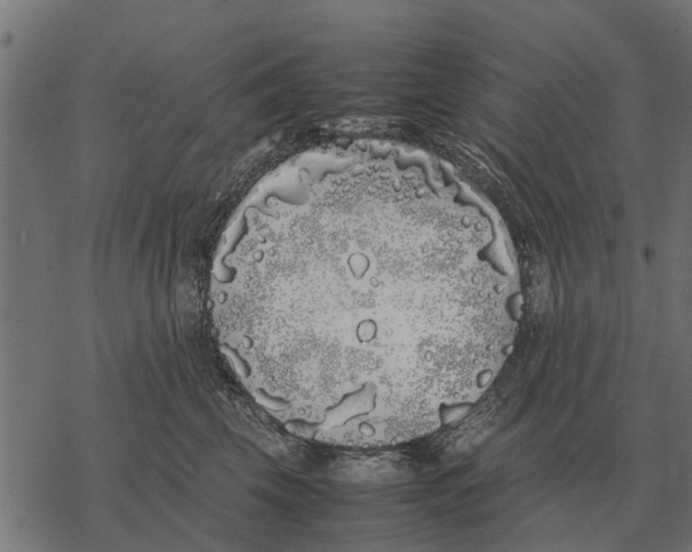 X0000067950569200605041829