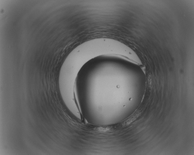 X0000067950570200605041829