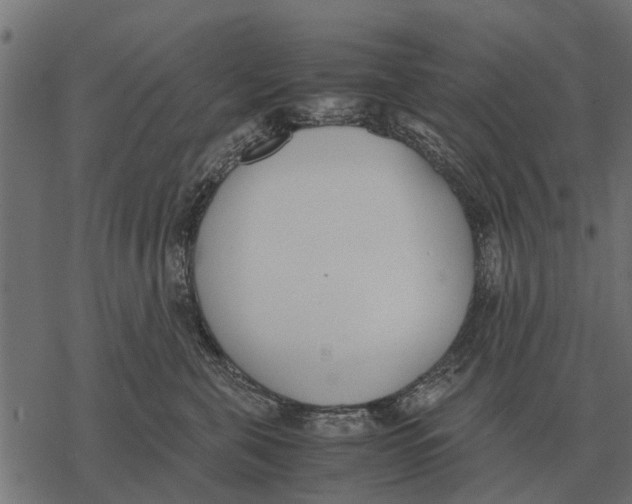 X0000067950571200605041829