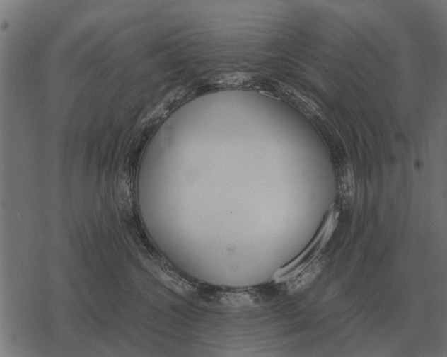 X0000067950572200605041829