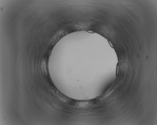 X0000067950575200605041829