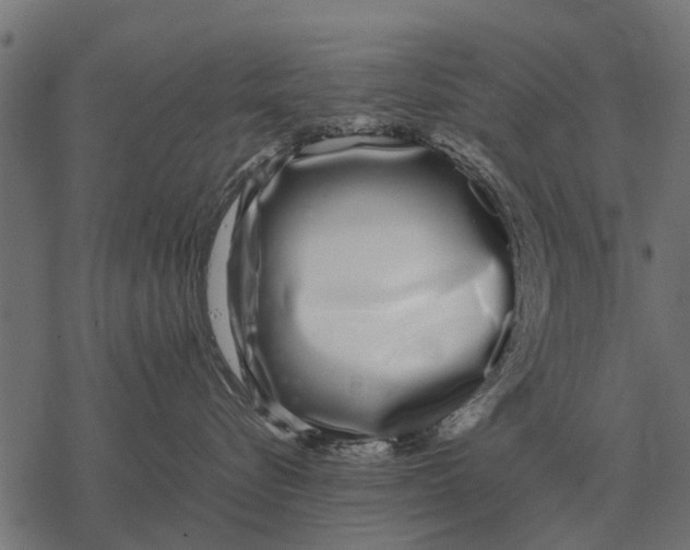 X0000067950576200605041829