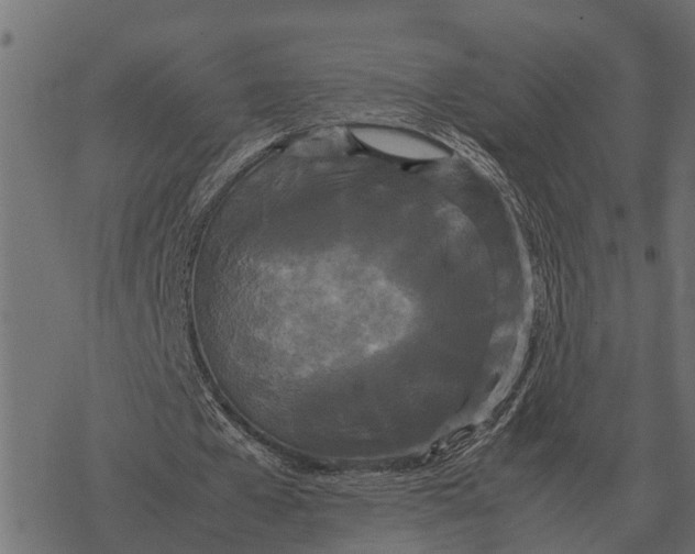 X0000067950577200605041828