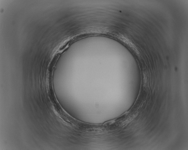 X0000067950580200605041828