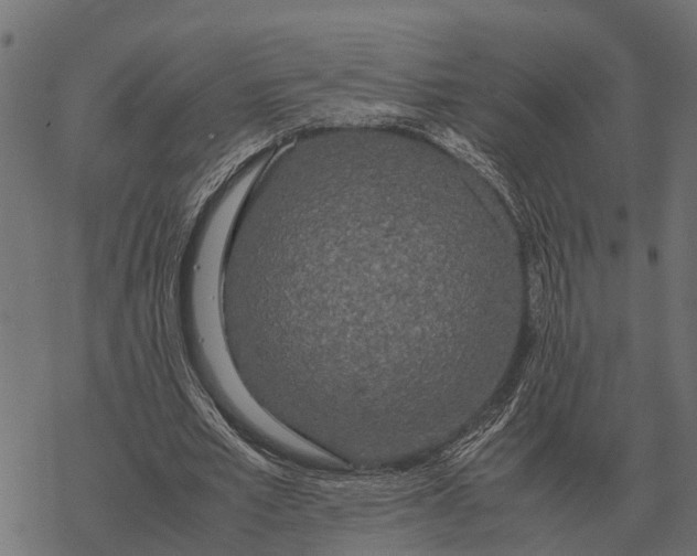 X0000067950581200605041828