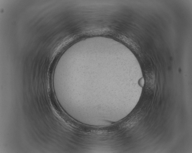 X0000067950582200605041828