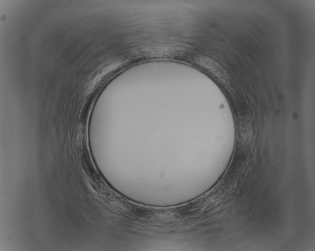 X0000067950583200605041828