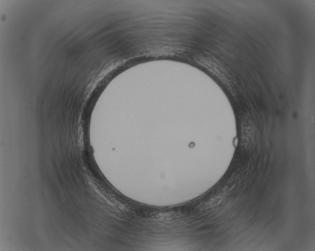 X0000067950584200605041828