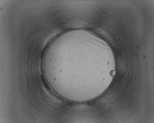 X0000067950586200605041828