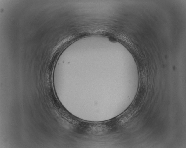 X0000067950587200605041828