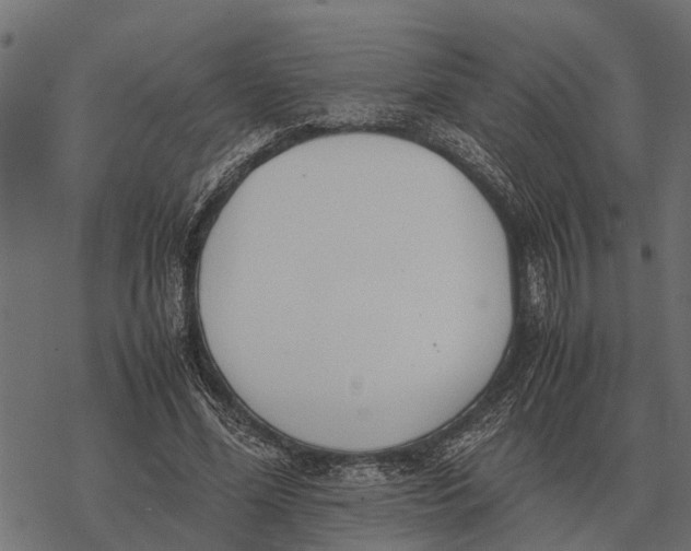 X0000067950588200605041828