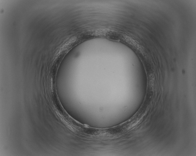 X0000067950589200605041828