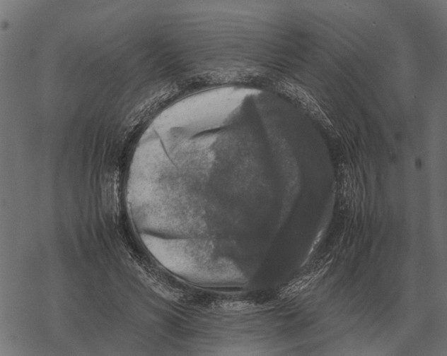 X0000067950590200605041828