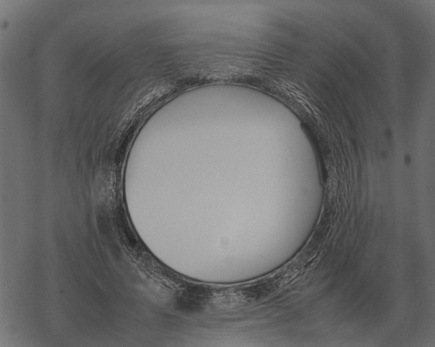 X0000067950591200605041828