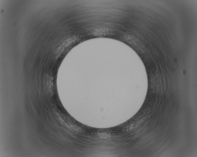 X0000067950592200605041828