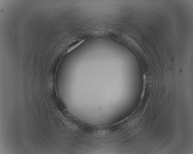 X0000067950593200605041828