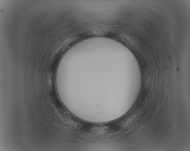 X0000067950595200605041828