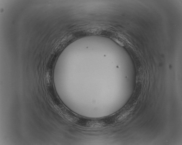 X0000067950597200605041828