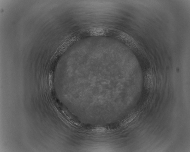 X0000067950598200605041828