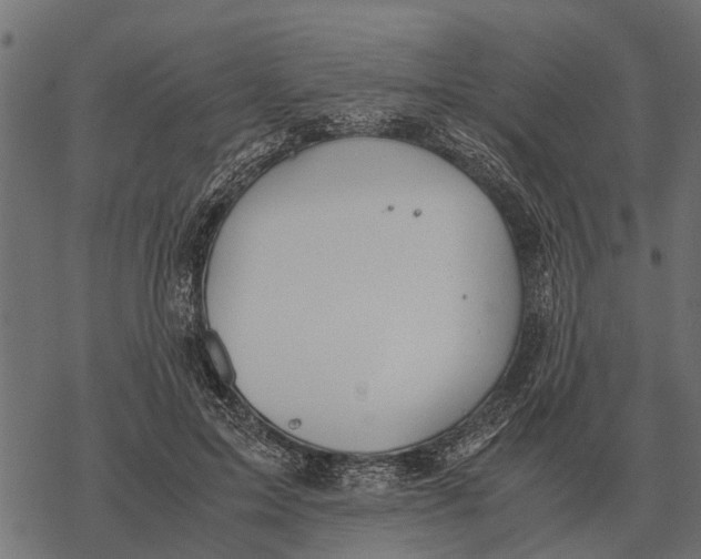 X0000067950599200605041828